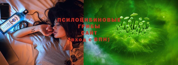 mdpv Гусев