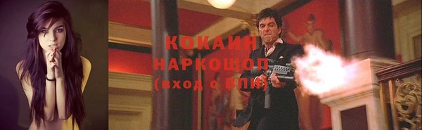 шишки Туринск